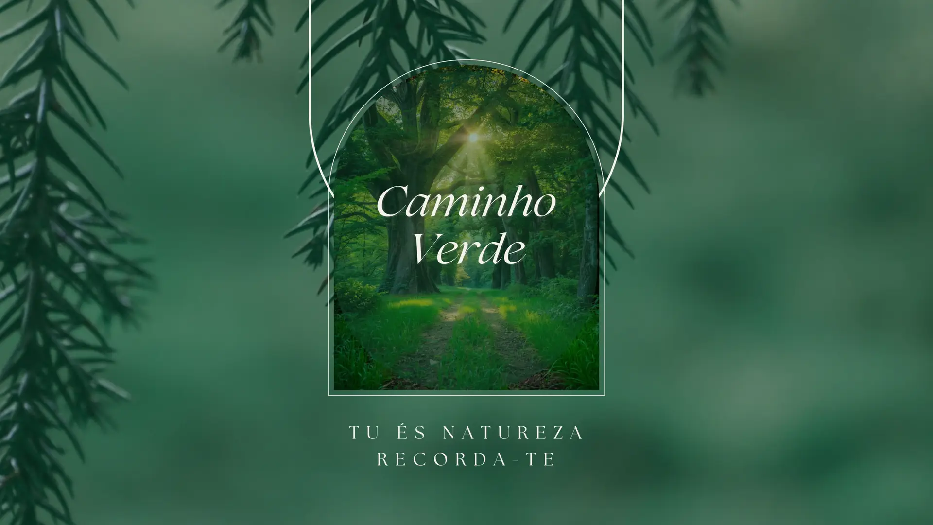 Reservado a Alunos: Caminho Verde